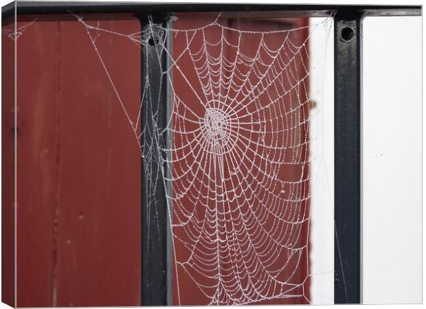 How can a little spider create such a perfect web Canvas Print by Peter Hodgson