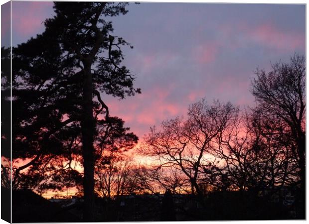 Radiant Sunset Silhouettes Tree Canvas Print by Peter Hodgson