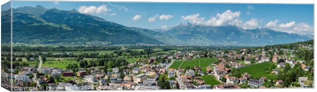 Vaduz, Liechtenstein Canvas Print by Plamen Petrov