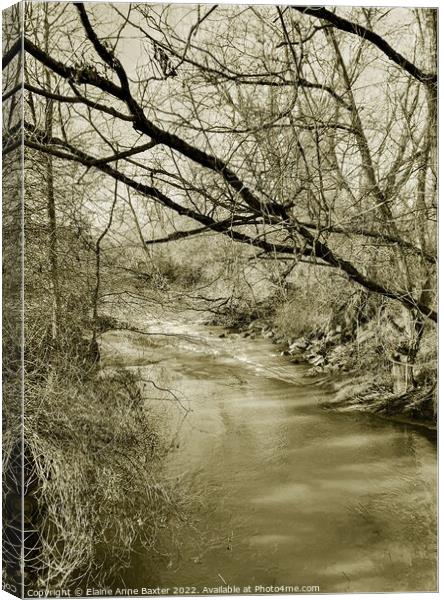 River Avon Warwickshire Canvas Print by Elaine Anne Baxter