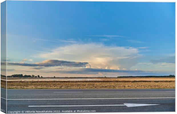 Empty freeway through a spacious field Canvas Print by Viktoriia Novokhatska