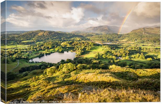 Serene Sunrise Over Loughrigg Tarn Canvas Print by Terry Newman