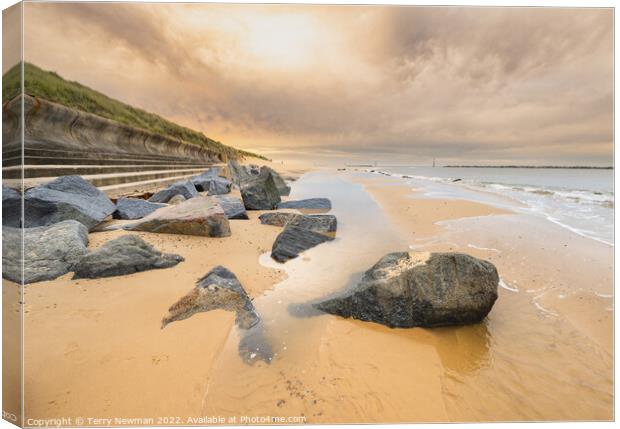 Enigmatic Sea Gaze Canvas Print by Terry Newman