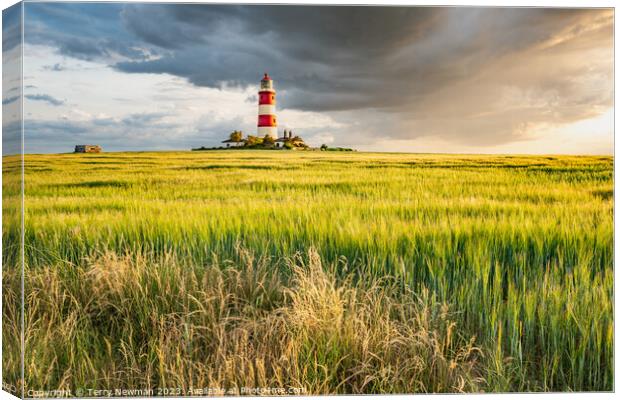 Happisburgh Lighthouse at Sunset Canvas Print by Terry Newman