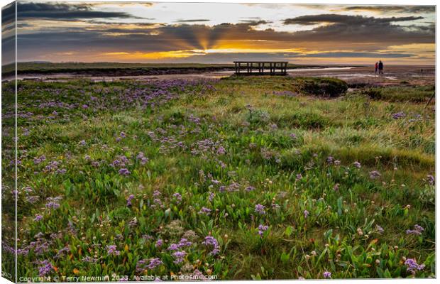 Admiring the View Canvas Print by Terry Newman