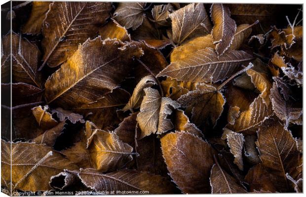 Beauty In Decay Canvas Print by Colin Menniss
