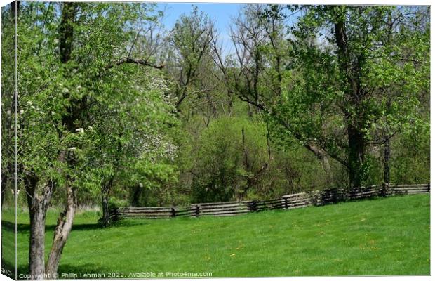 Old Fence line Landscape 1A Canvas Print by Philip Lehman