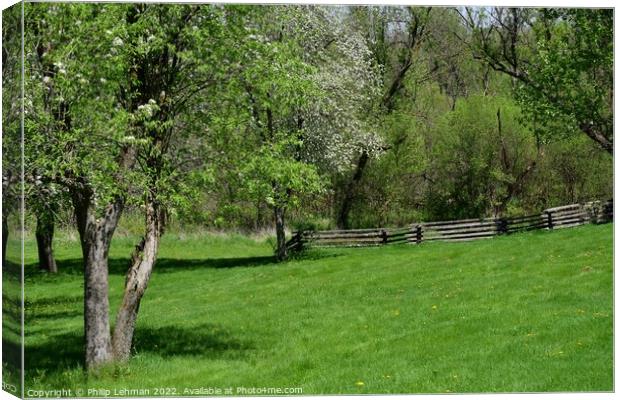 Old Fence line Landscape 3A Canvas Print by Philip Lehman