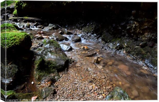 Moving Waters 1B Canvas Print by Philip Lehman