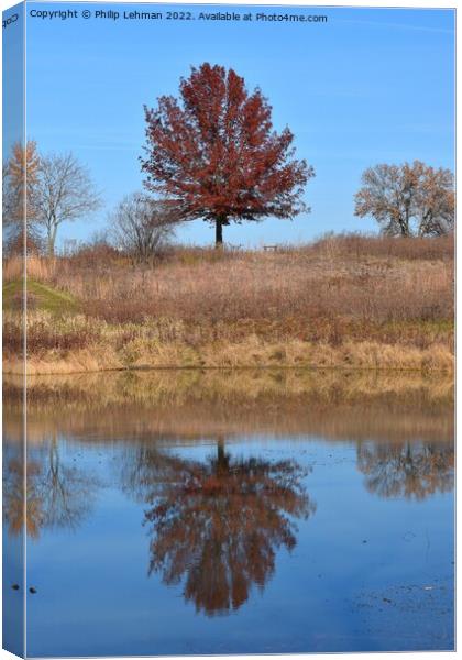 Fall Reflections 1 Canvas Print by Philip Lehman