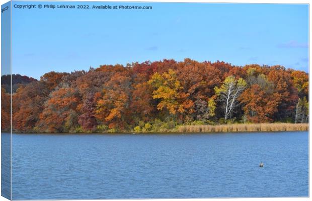 Yellowstone Lake Fall colors (42A) Canvas Print by Philip Lehman