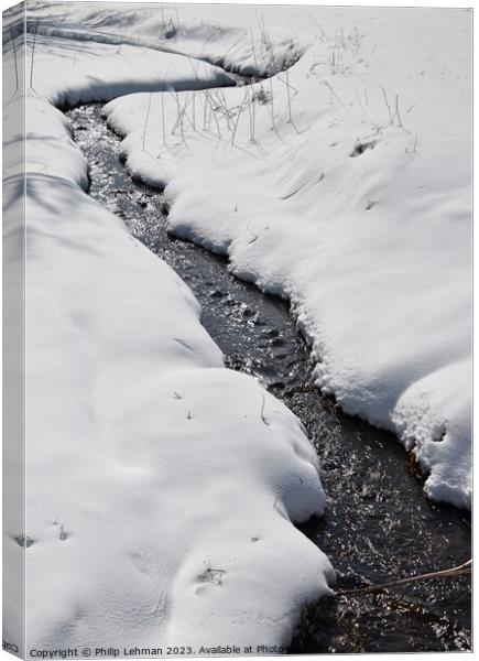 Snowy Landscape (15A) Canvas Print by Philip Lehman