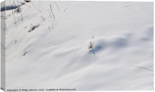 Snowy Landscape (42A) Canvas Print by Philip Lehman