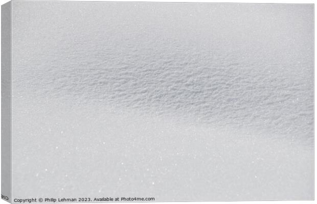 Snowy Landscape (54A) Canvas Print by Philip Lehman