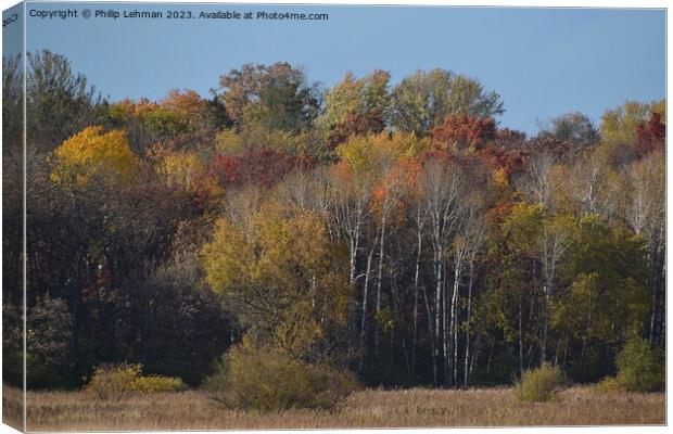 Fall Colors Hiking Trail 36A Canvas Print by Philip Lehman