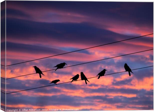 Birds on a wire - sunrise Canvas Print by Gillian Robertson