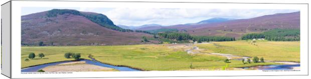 The Blooming Heather Hills above Braemar, Scotland. Canvas Print by Keith Ringland