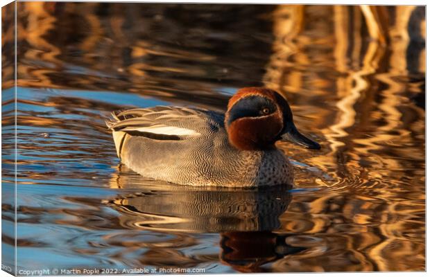 Teal on water Canvas Print by Martin Pople