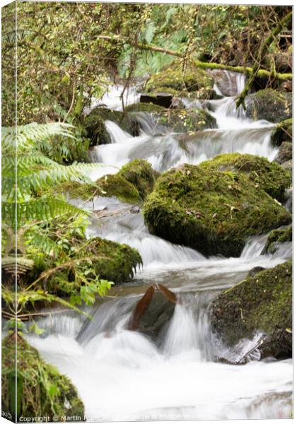Cascading water in woods Canvas Print by Martin Pople