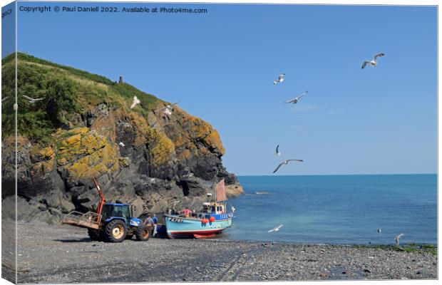 Cadgwith fisherman returns Canvas Print by Paul Daniell