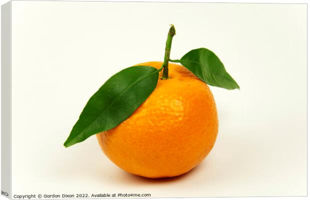 Orange tangerine or mandarin with leaves isolated on off white Canvas Print by Gordon Dixon