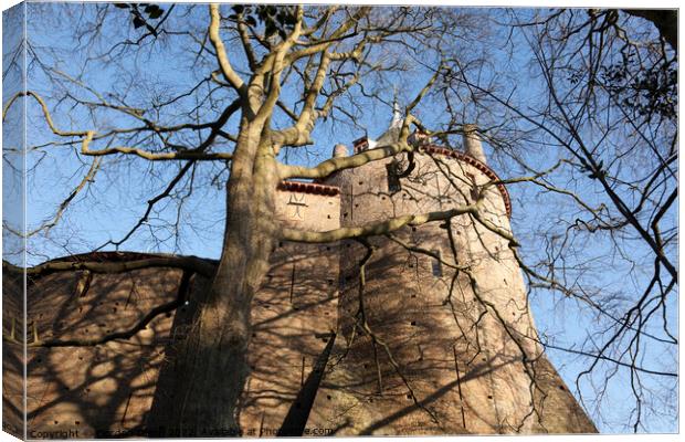 Tree casts shadows over the walls of the fairy-tale Castle Coch in South Wales Canvas Print by Gordon Dixon