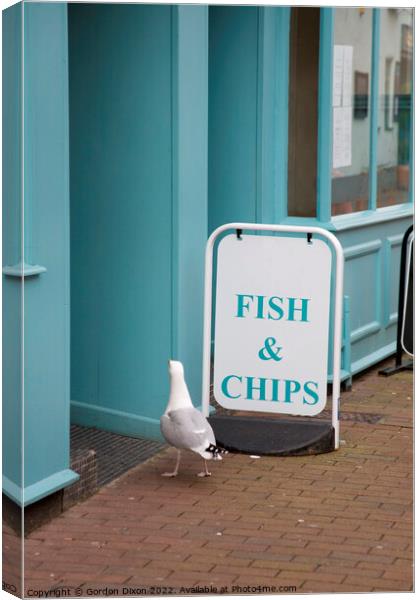 A seagull walking into a fish and chip shop in Sidmouth, Devon  Canvas Print by Gordon Dixon