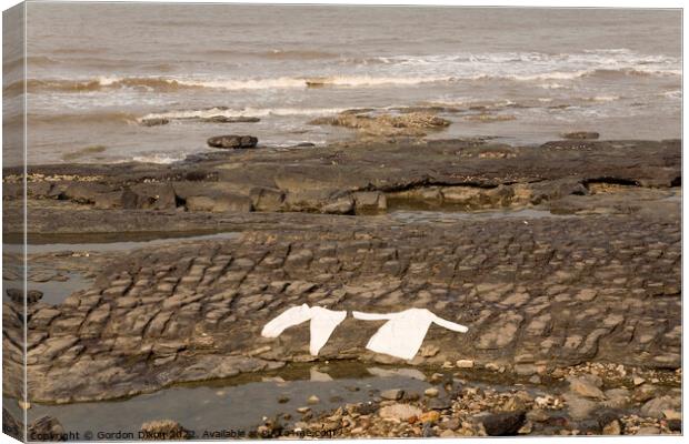Lying flat out by the sea - laundry drying on rocks at Mumbai, India Canvas Print by Gordon Dixon
