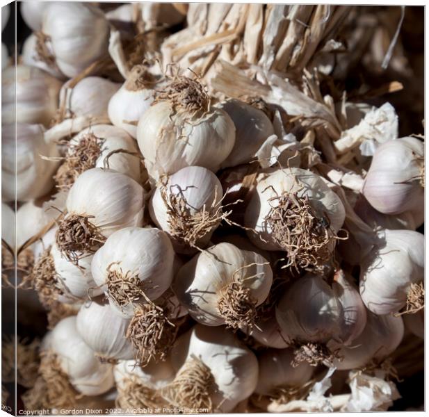 Garlic cloves Canvas Print by Gordon Dixon