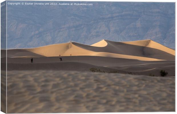 Dunes in the desert Canvas Print by Eszter Imrene Virt