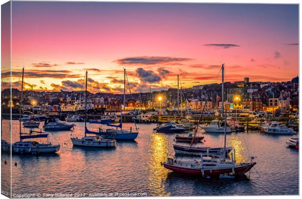 Scarborough Harbour sunset Canvas Print by Tony Millward
