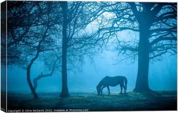 Horse in Morning Mist Canvas Print by Chris Richards