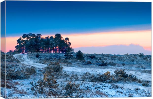 Camphill Clump Sunset in the Snow Canvas Print by Chris Richards