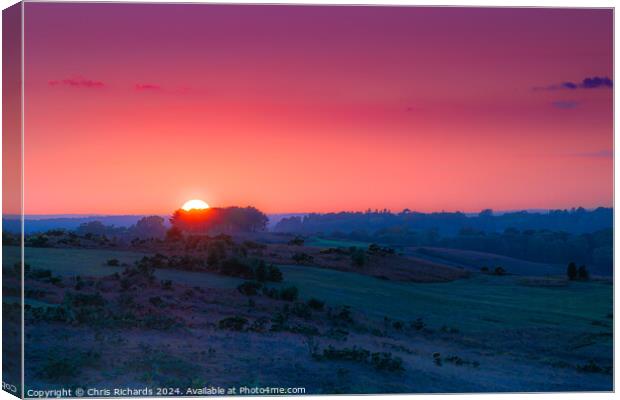 Sunset Over Friends Clump, Ashdown Forest Canvas Print by Chris Richards