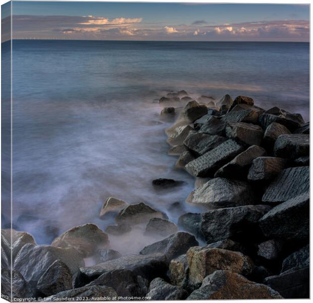 Granite Groynes Canvas Print by Ian Saunders