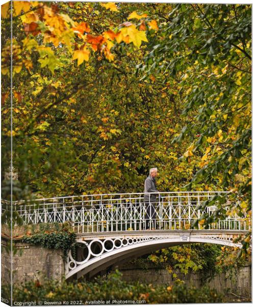Walking through Autumn Canvas Print by Rowena Ko
