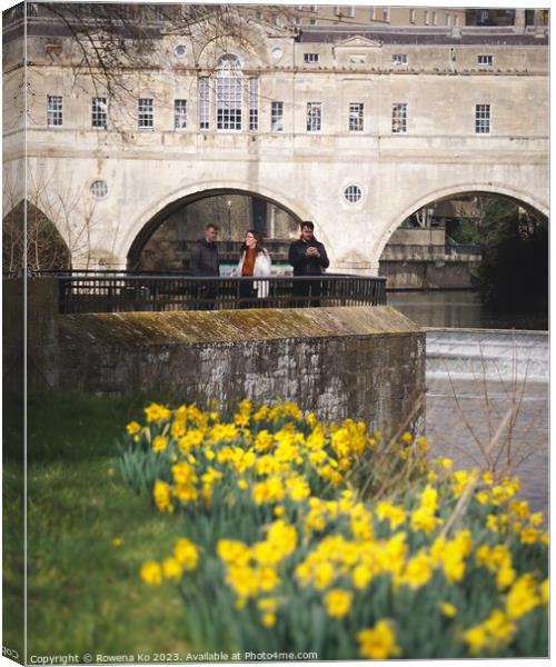 Daffodils by the Pulteney Wire  Canvas Print by Rowena Ko