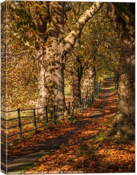 Fall mood photo of cotswold city Bath in Autumn Canvas Print by Rowena Ko