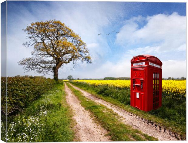 Down The Lane Canvas Print by Dave Urwin