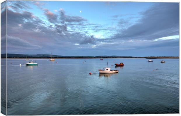 View Across the Dovey Estuary  Canvas Print by Dave Urwin