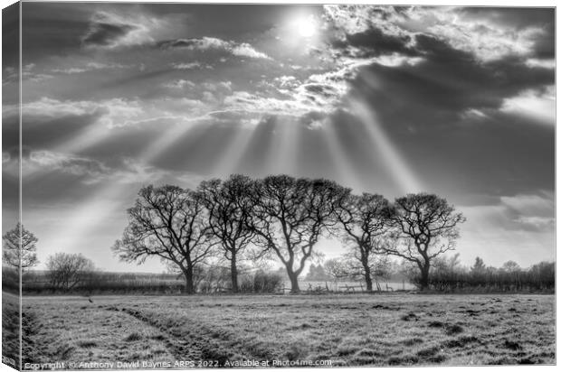 Sunbeams through mist at Goathland, North York Moors in black and white. Canvas Print by Anthony David Baynes ARPS