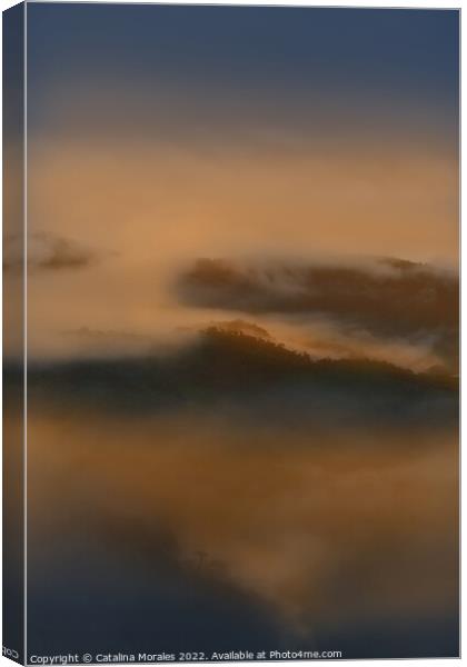 Sunrise in the Andean rainforest of Colombia Canvas Print by Catalina Morales