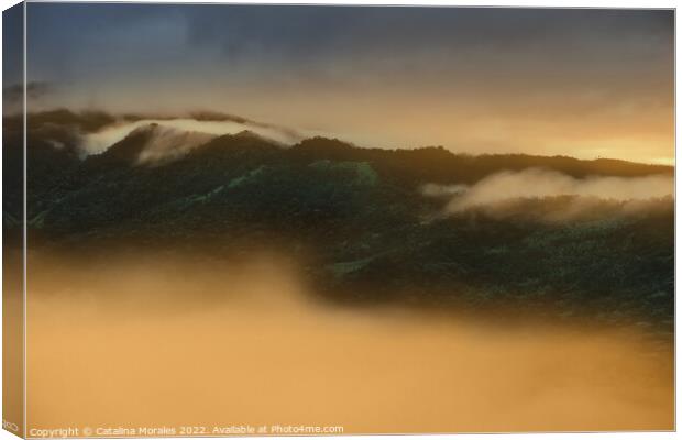 Sunrise in the Andean rainforest of Colombia Canvas Print by Catalina Morales