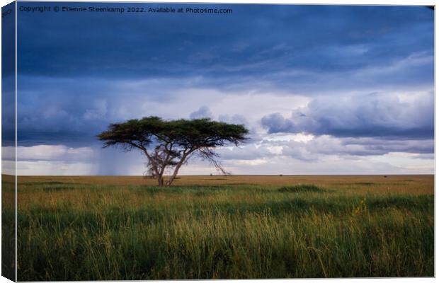 Serengeti rain Canvas Print by Etienne Steenkamp