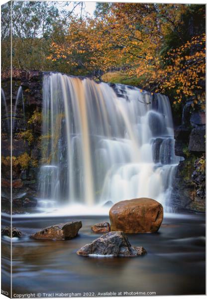 East Gill Force Canvas Print by Traci Habergham