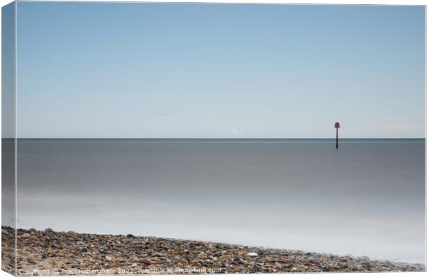 Hornsea Seafront  Canvas Print by Traci Habergham