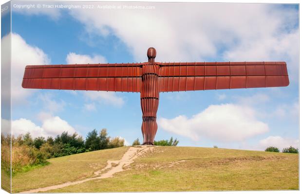 The Angel Of The North Canvas Print by Traci Habergham