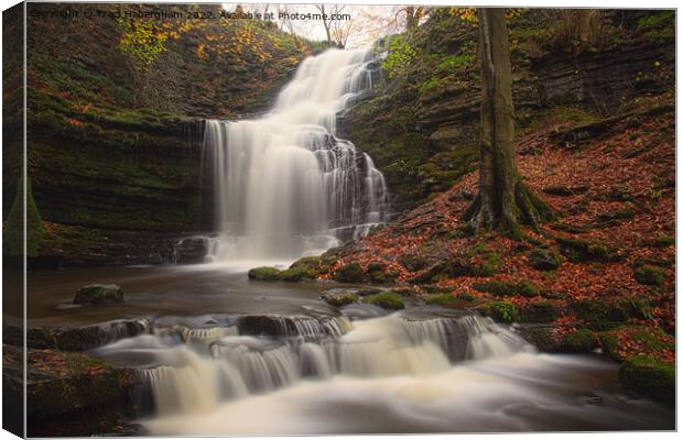 An Autumnal Scalebar Force Waterfall Canvas Print by Traci Habergham