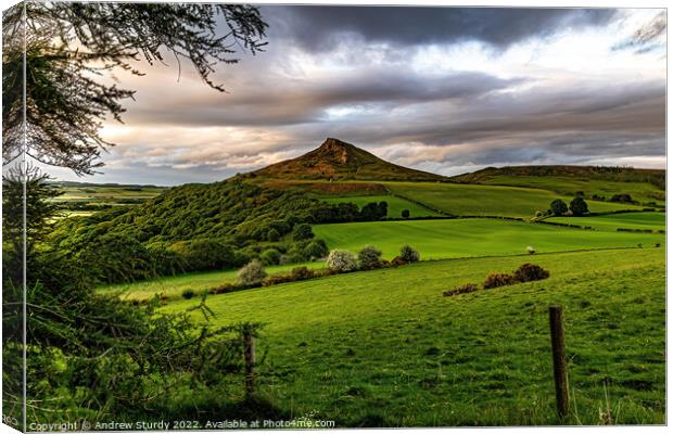 Roseberry Topping Canvas Print by Andrew  Sturdy