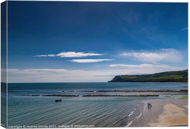 Robin Hoods Bay Canvas Print by Andrew  Sturdy